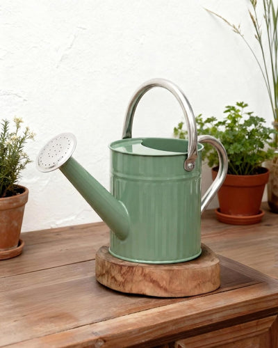 Regadera metal acero inox 1/2gal boquilla extraible
