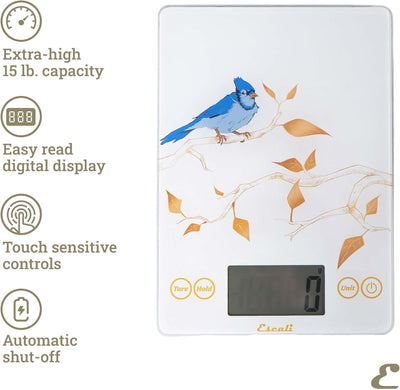 Báscula digital de vidrio Escali Arti Blue Jay para alimentos y cocina con pantalla grande