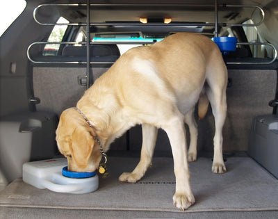 Cuenco viaje perro 3qt portátil para auto RV camping