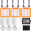 Accesorios aspiradora Sh-ark filtros y cepillos