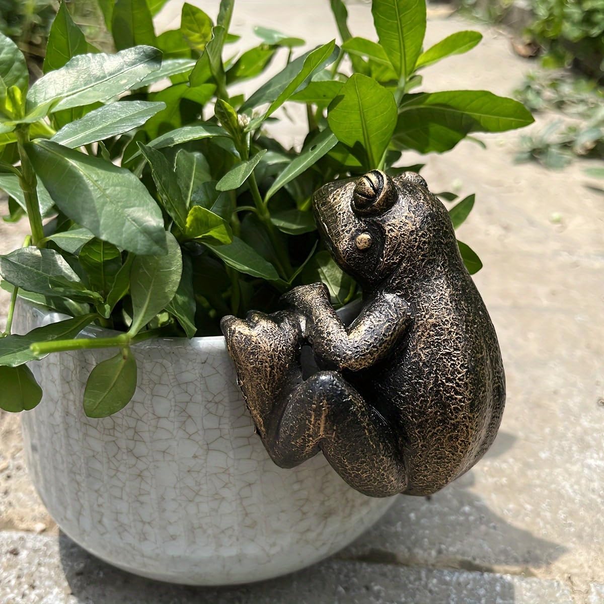 Figuras rana para maceta jardín patio balcón decoración