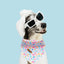 Bandana perro estampado marino ajustable medianos grandes