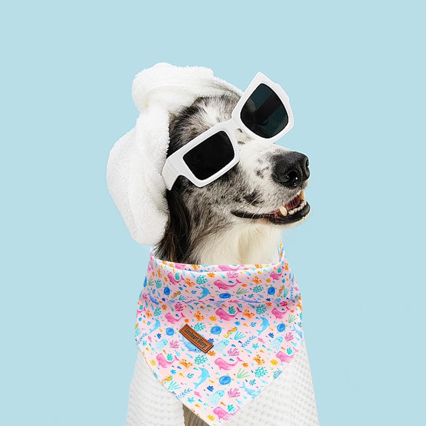 Bandana perro estampado marino ajustable medianos grandes