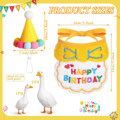 Traje ganso cumpleaños con sombrero pato plástico 17"