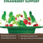 Marco soporte plantas fresa 12pulg pack 4