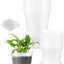 24 Macetas Transparentes 5/6" Rejilla Ventilación Orquídea