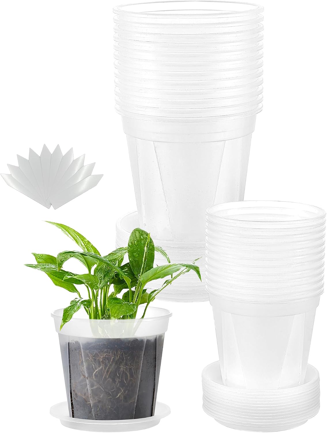 24 Macetas Transparentes 5/6" Rejilla Ventilación Orquídea