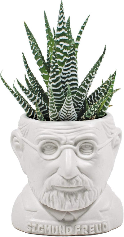 Maceta cerámica con busto de Freud