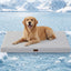 Cama para perros con almohada refrigerante XXL 47x29 pulg grey