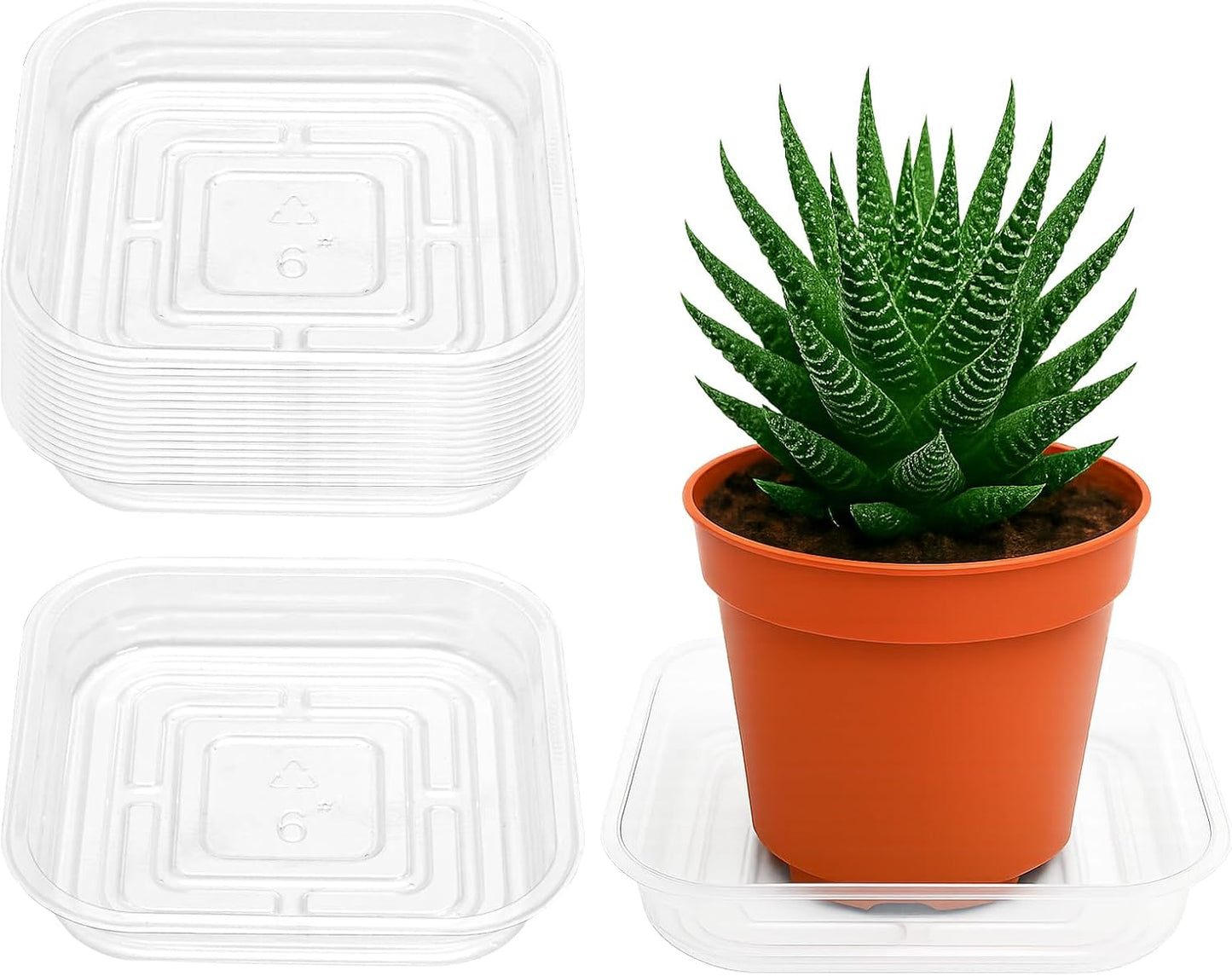 20 Bandejas Plástico Transparente 6" Drenaje Plantas
