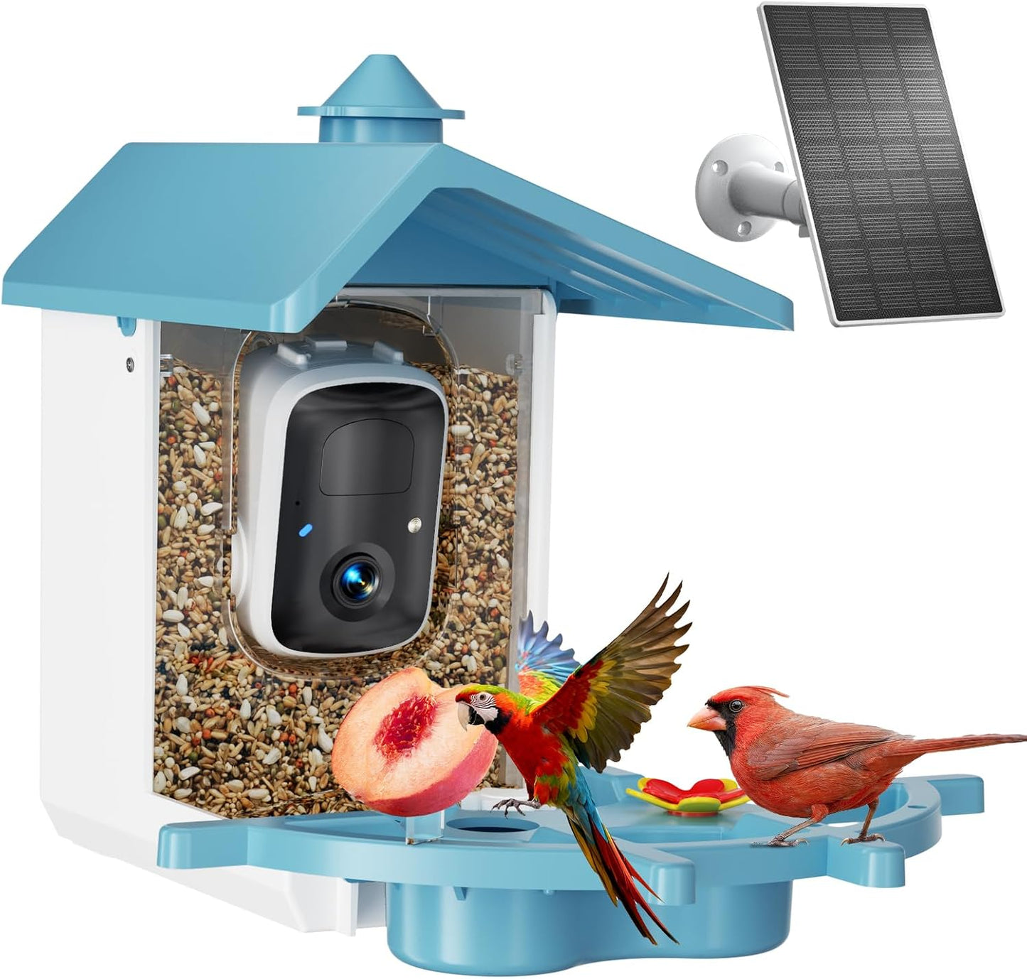 Comedero inteligente para pájaros con cámara WiFi y solar