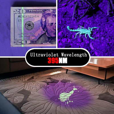 Linterna UV 395 nm portátil para detección orina y manchas mascotas