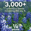 Semillas Texas Bluebonnet 3000 unidades bolsa 4oz