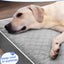 Cama ortopédica perros XL jaula con funda lavable impermeable
