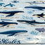 Alfombra baño abstracta animales marinos 29.5x17.5