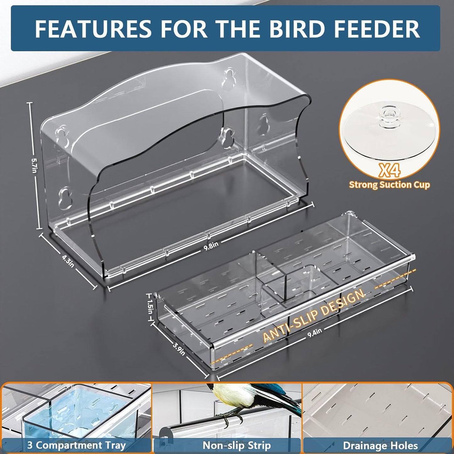 Caja comederos pájaros 10x6" 3 compartimentos