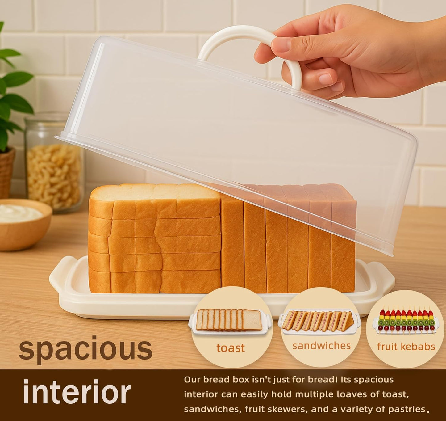Caja pan rectangular plástico tapa transparente portátil