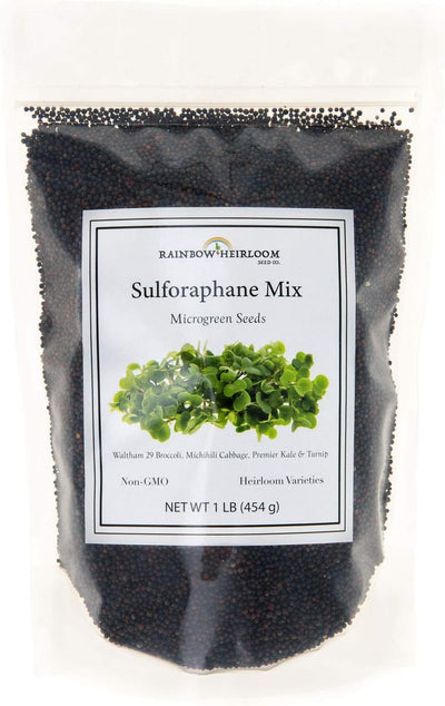 Semillas Microgreen Sulforaphane para cultivo en bandejas