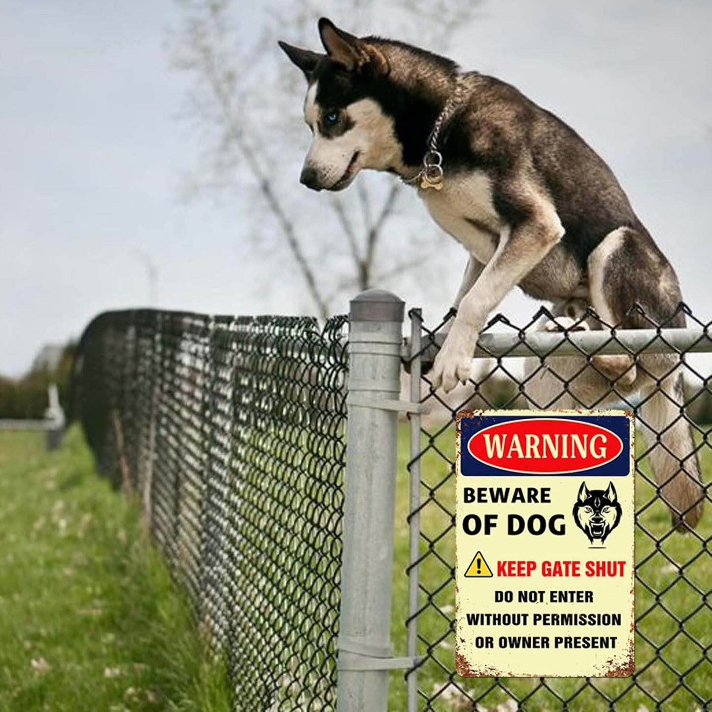 Letrero Beware of Dog Metal Estaño 8x12pulg Pared Estilo Retro