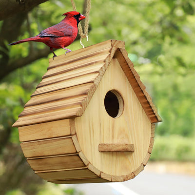 Casa pájaros madera natural diseño pinzón azul jardín