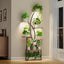Soporte plantas interior luz crecimiento estante 8 niveles 65pulg