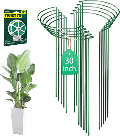 10 Estacas Metal 30pulg Soporte Jaula Anillo Peonía Jardín