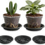 5 Pzas Elevadores Plantas 8pulg Bandejas Goteo Grises