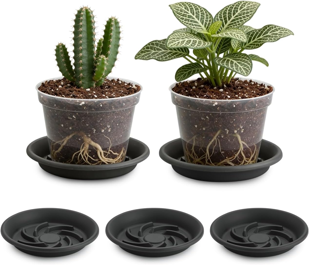 5 Pzas Elevadores Plantas 8pulg Bandejas Goteo Grises