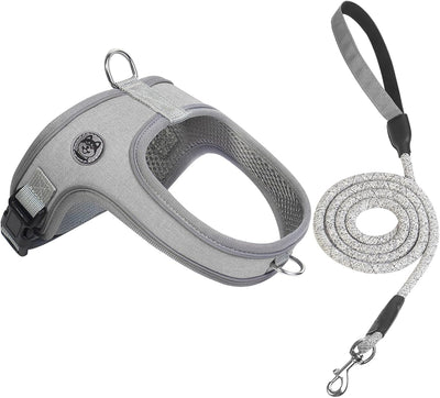 Arnés correa perro estilo silla 2 anillos D gris