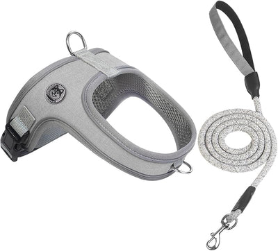 Arnés correa perro estilo silla 2 anillos D gris