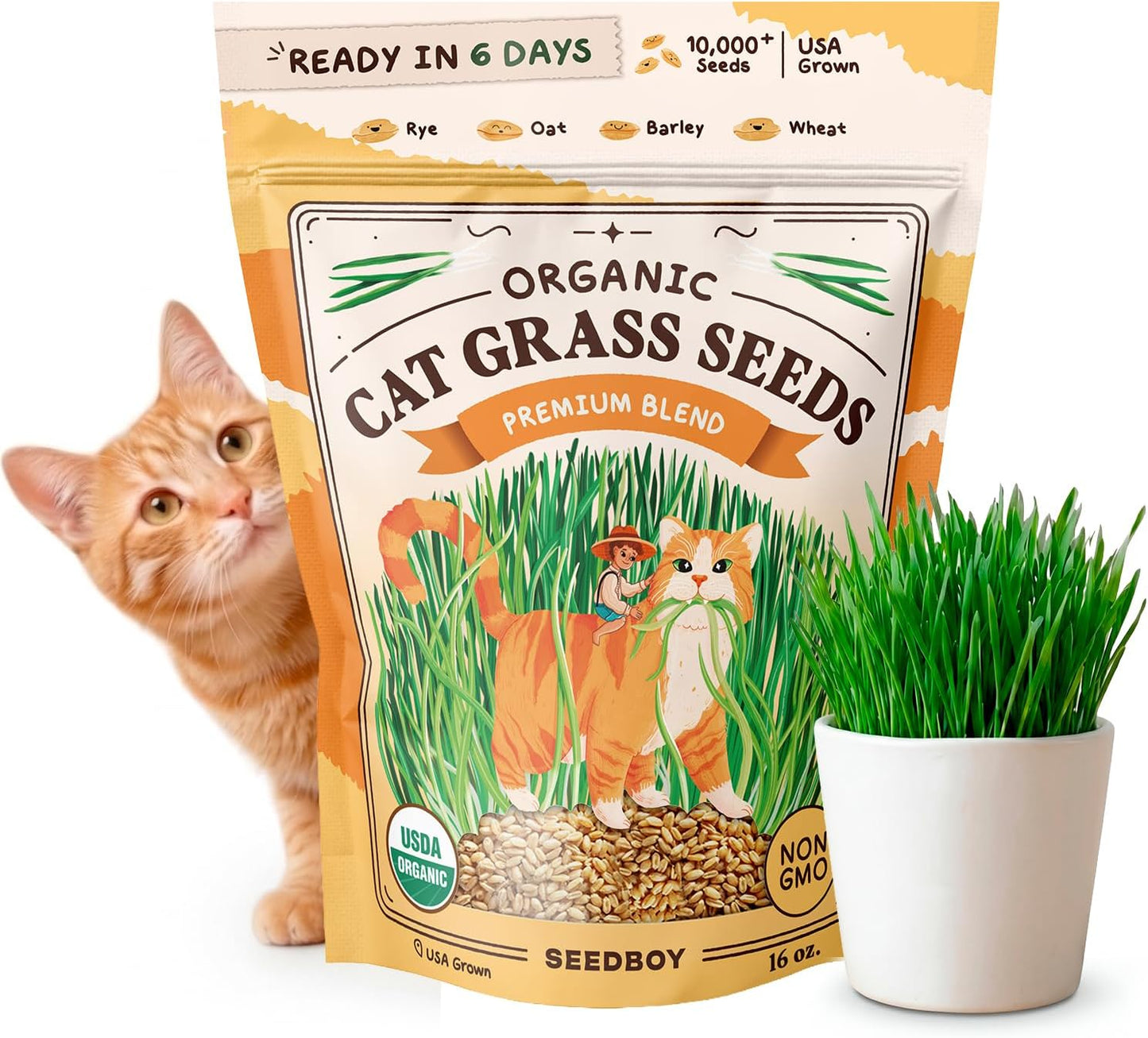 Semillas hierba gato orgánicas sin GMO 453g