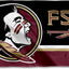Bandera FSU Noles 3x5 para Decoración de Eventos y Hogar