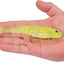 Cebo blando PowerBait CullShad para pesca