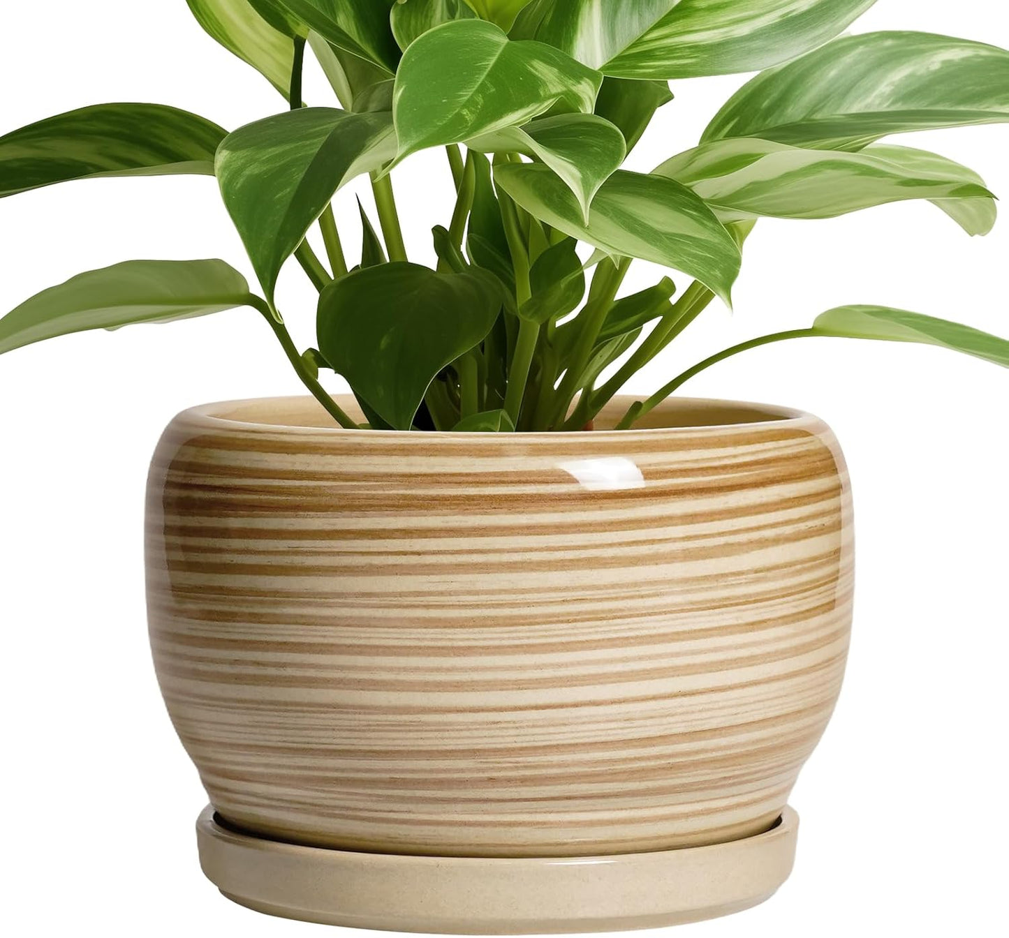 Maceta cerámica 8" redonda con drenaje amarillo