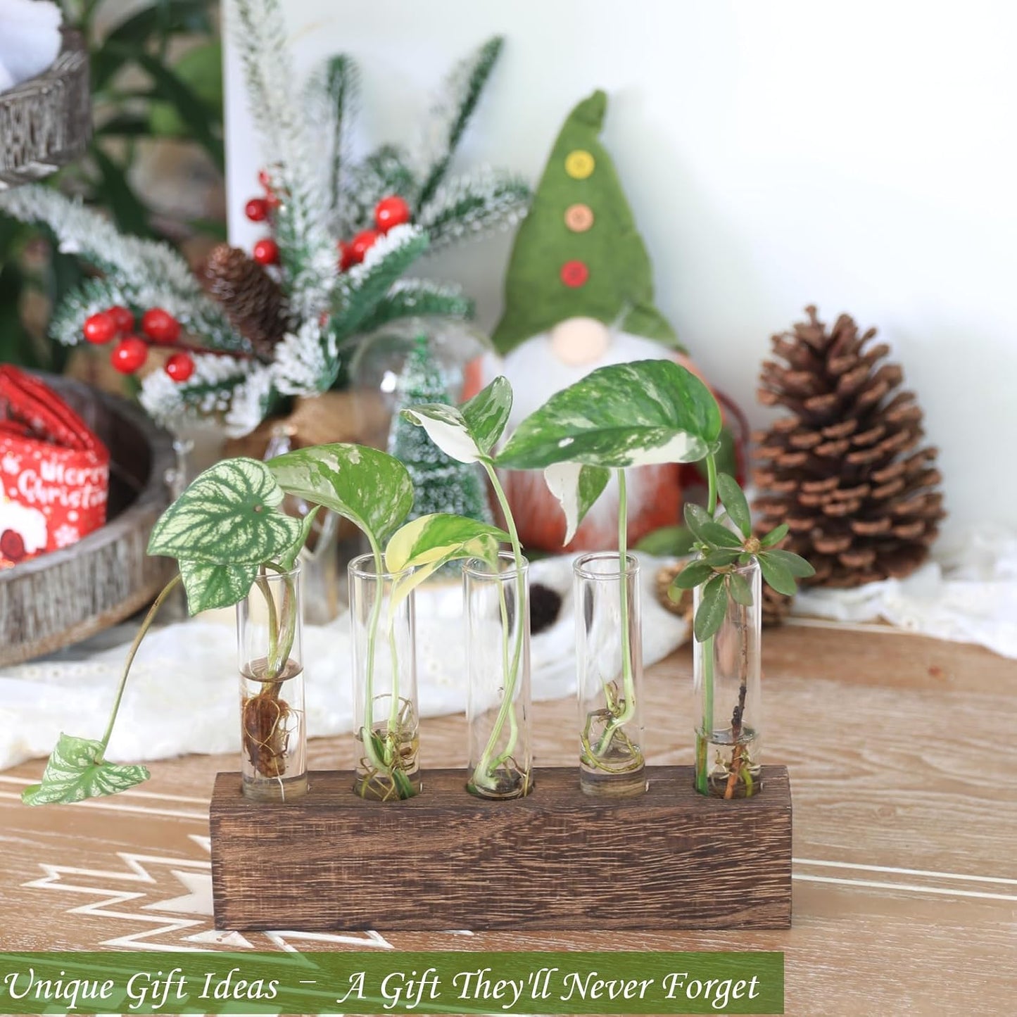 Soporte vidrio para plantas oficina decoración