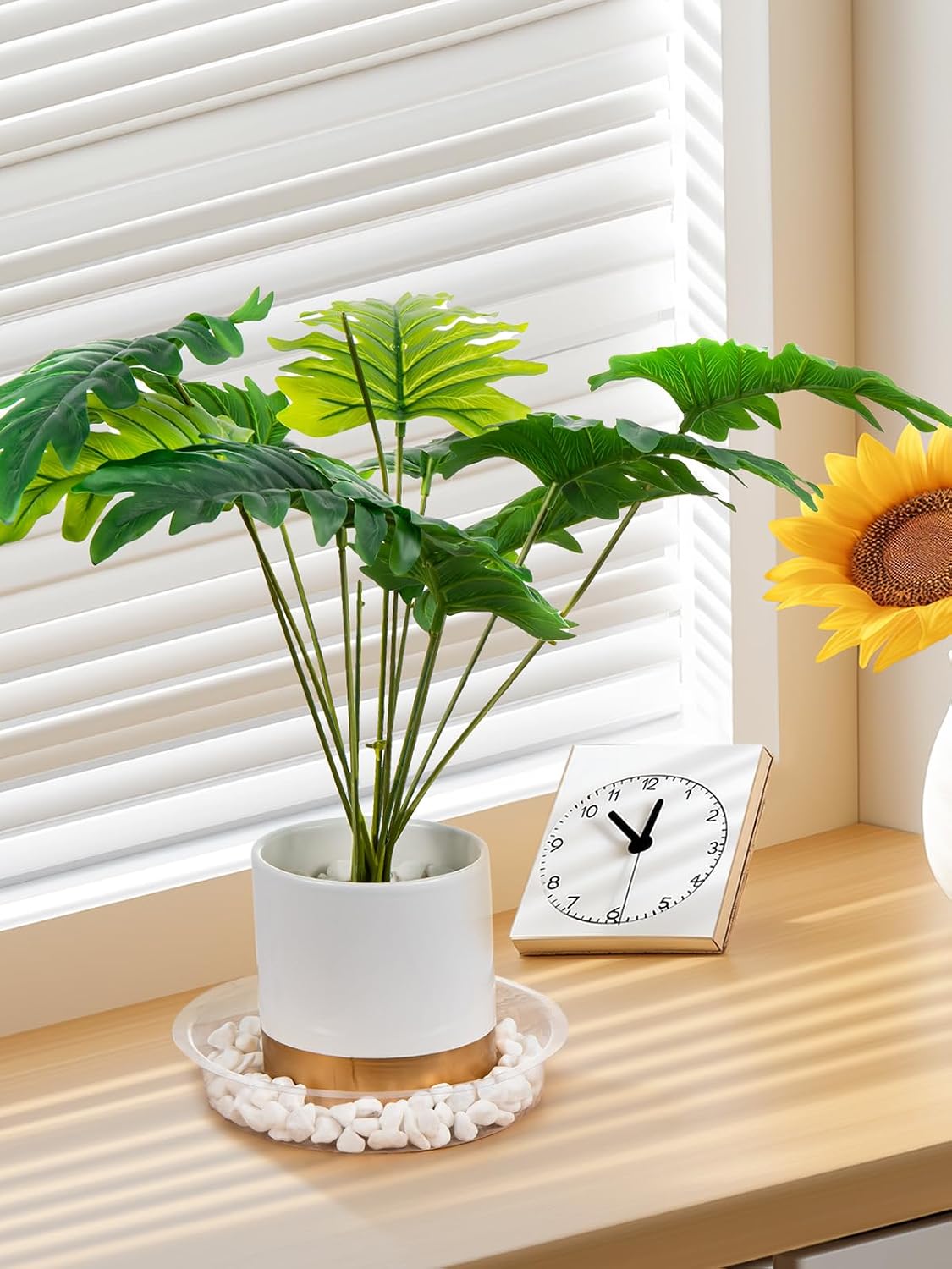 15 Platillos Plástico 12" para Plantas con Etiquetas