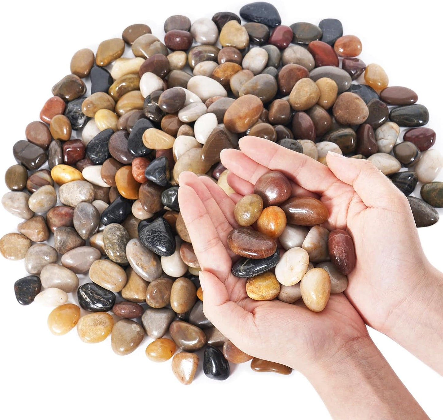 Rocas decorativas para acuario y jarrones 1-1 3/4"