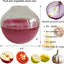 Contenedores reutilizables con tapa transparente