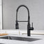 Grifo fregadero cocina rociador 360° negro mate