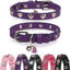 Collar cuero gato con cascabel y hebilla seguridad ajustable