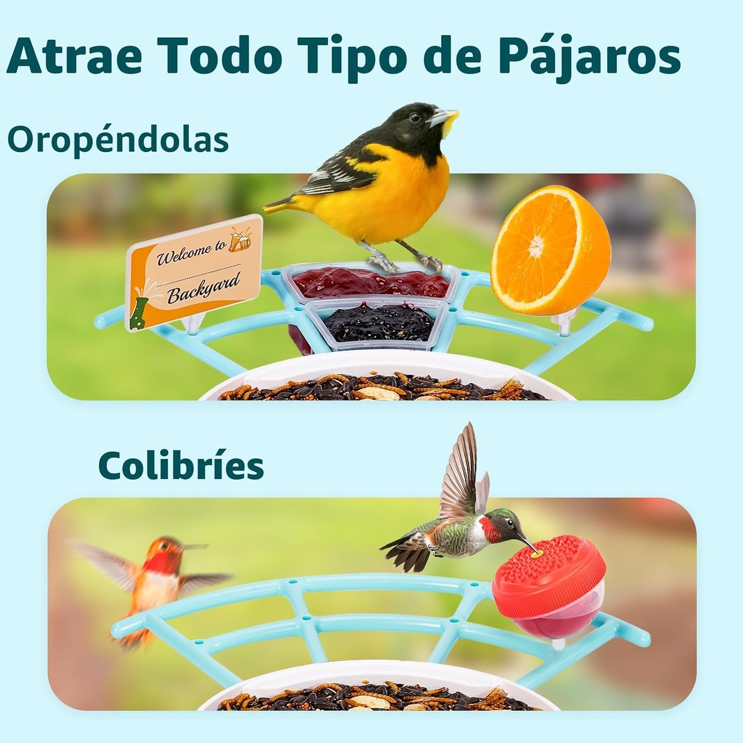 Percha extensible para colibríes y accesorios bricolaje