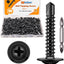 180 Pzas Tornillos Acero Inox Negro K-169-25-BK