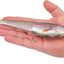 Cebo blando PowerBait CullShad para pesca