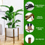 Soporte para plantas metal moderno estilo mediados siglo