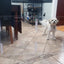 Barrera para mascotas 4 paneles plegable protege interiores