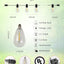 Guirnalda Luces LED Exteriores Bombillas Edison IP44 Colgantes