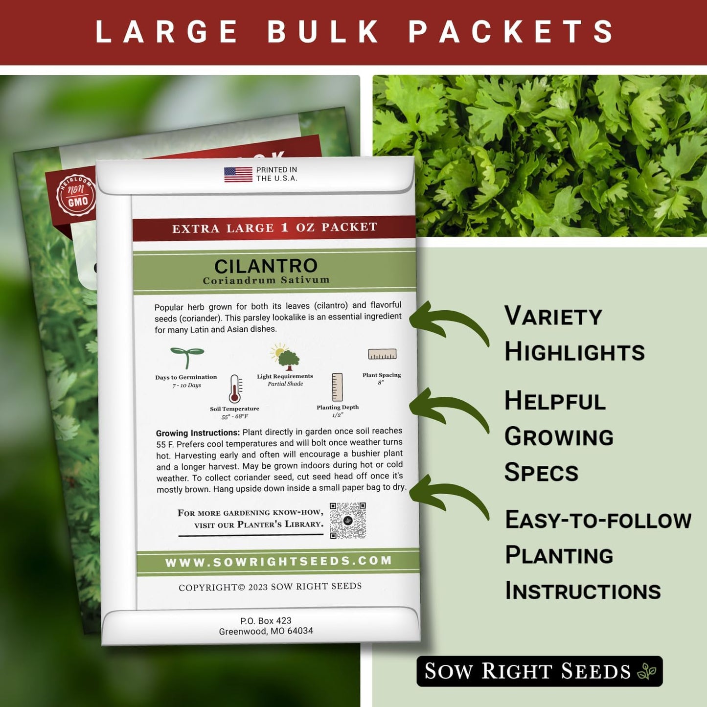 Semillas cilantro a granel 1oz 2000uds paquete jumbo