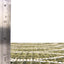 Alfombra rectangular 2x3ft 1pulg color verde y marfil