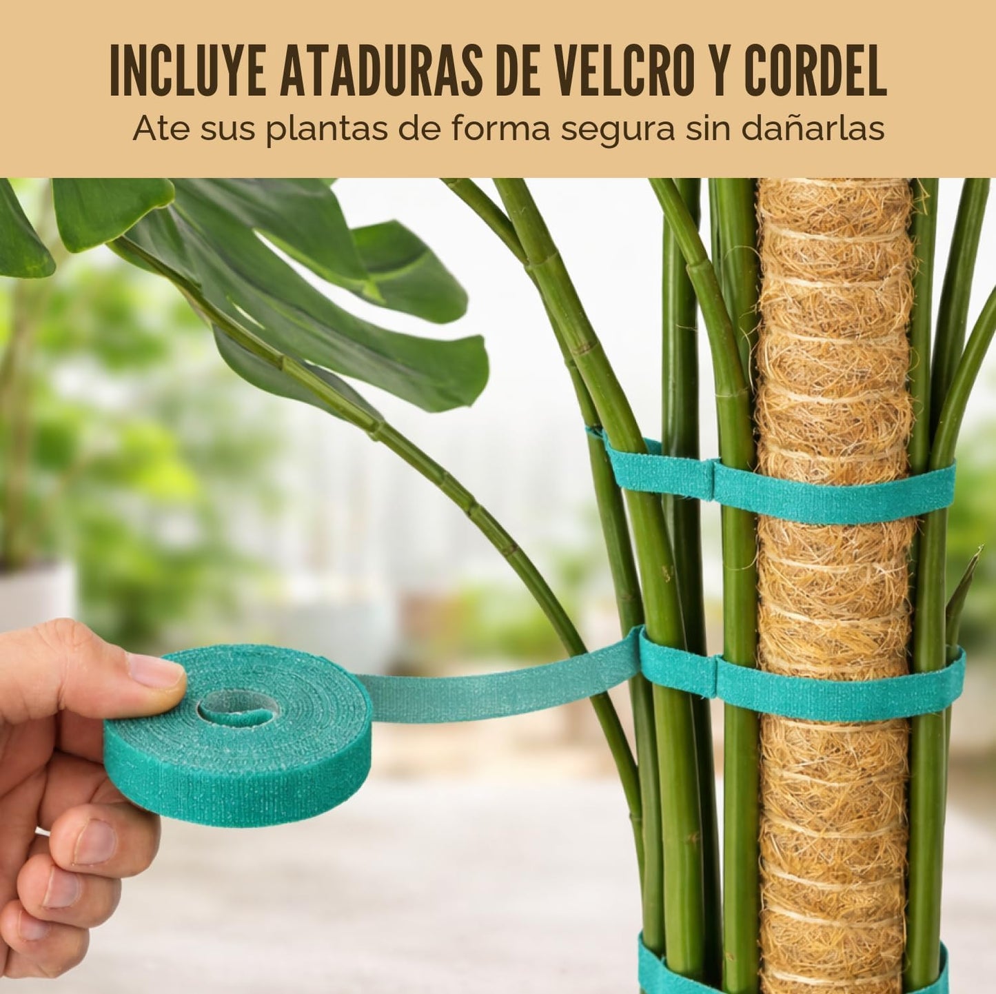 Soporte plantas Monstera poste musgo 28" 2 pzas