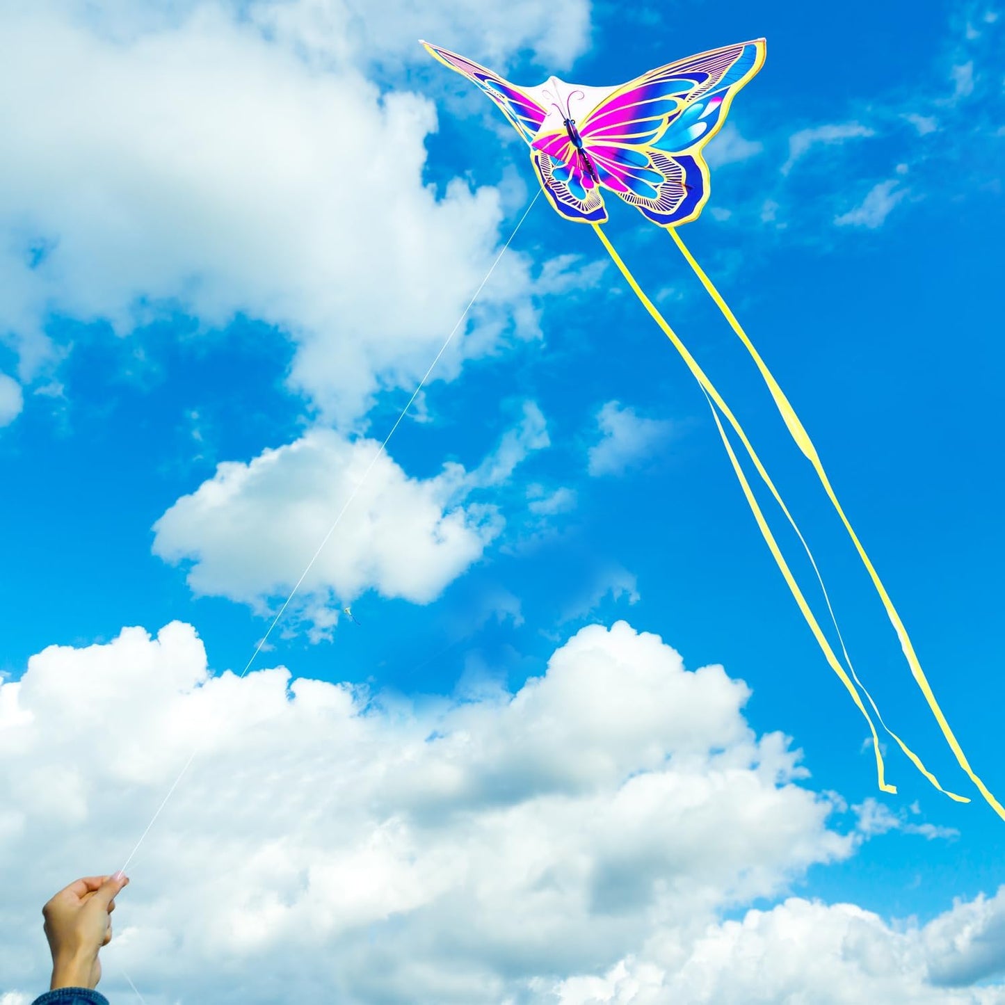 Cometa mariposa grande con mango 300pies para niños y adultos